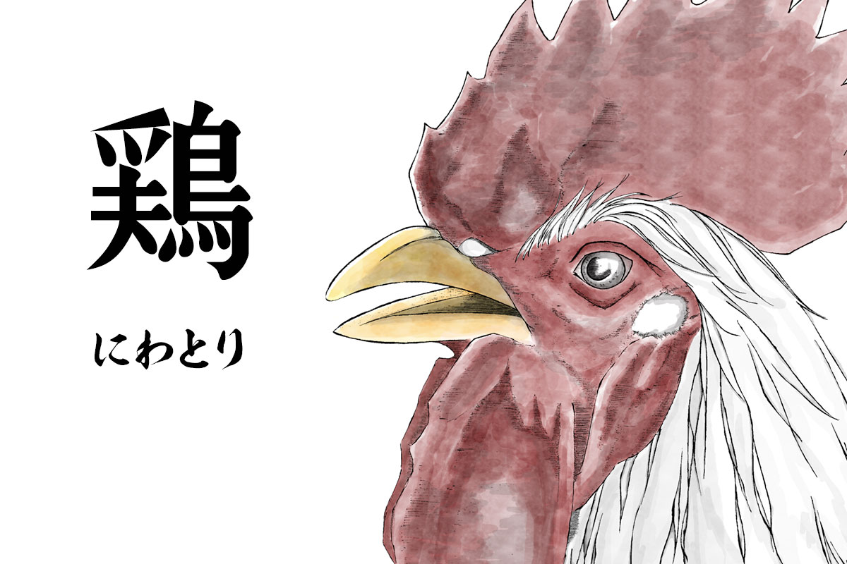 illust_ck